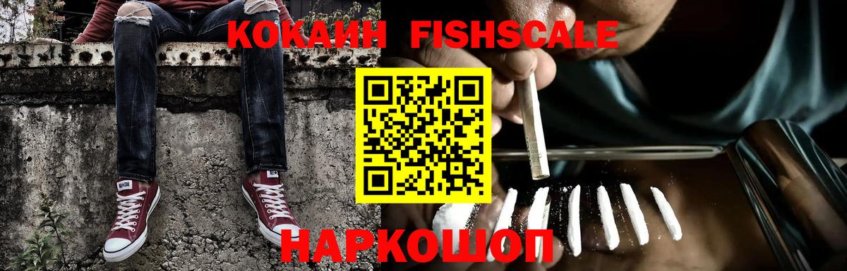 Cocaine Fish Scale Кингисепп