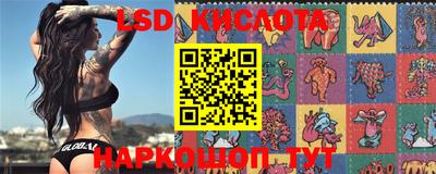 гидра Аргун