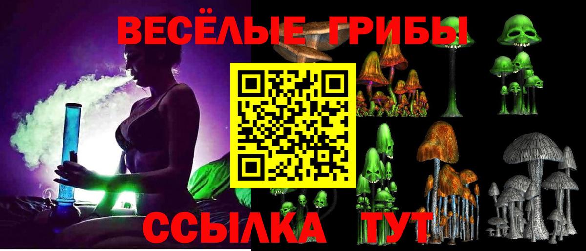 Псилоцибиновые грибы прущие грибы Кингисепп
