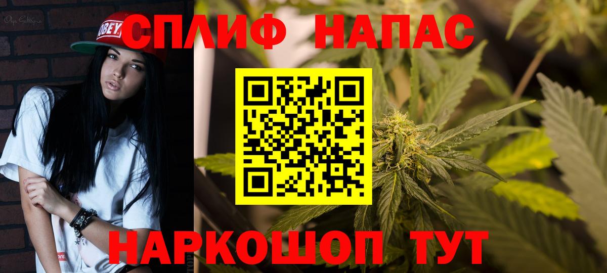 Конопля гибрид  МАРИХУАНА семена  Марихуана марихуана  Каннабис план  Кингисепп  Вход с VPN 